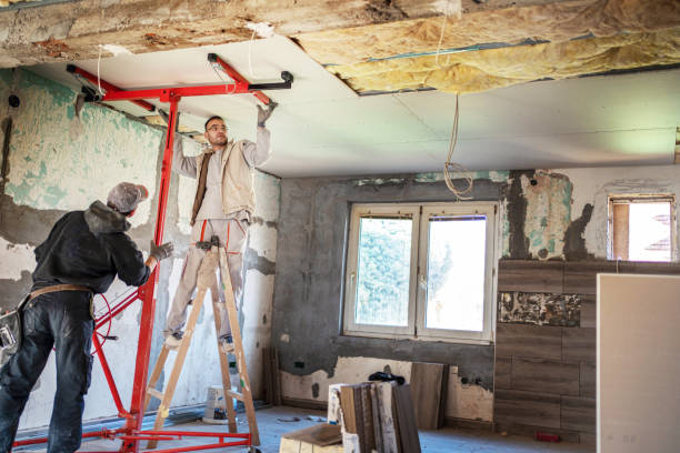 Best Geographic-Specific Insulation Services in Ocala, FL