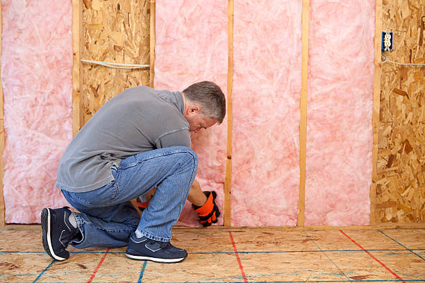 Professional Insulation Contractor in Ocala, FL