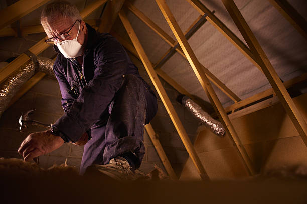 Best Commercial Insulation in Ocala, FL